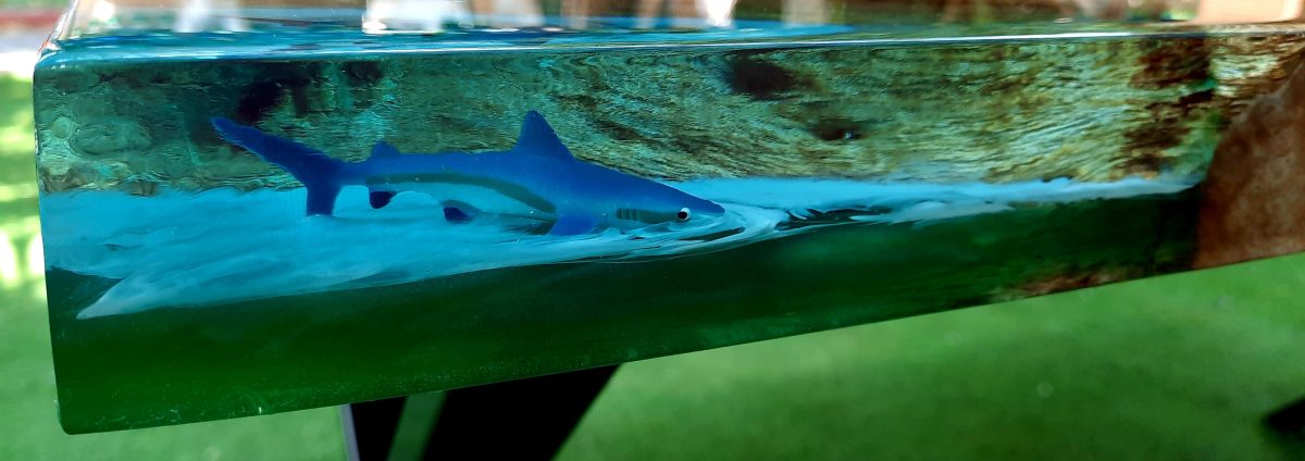 Premium Ocean Table - Image 10