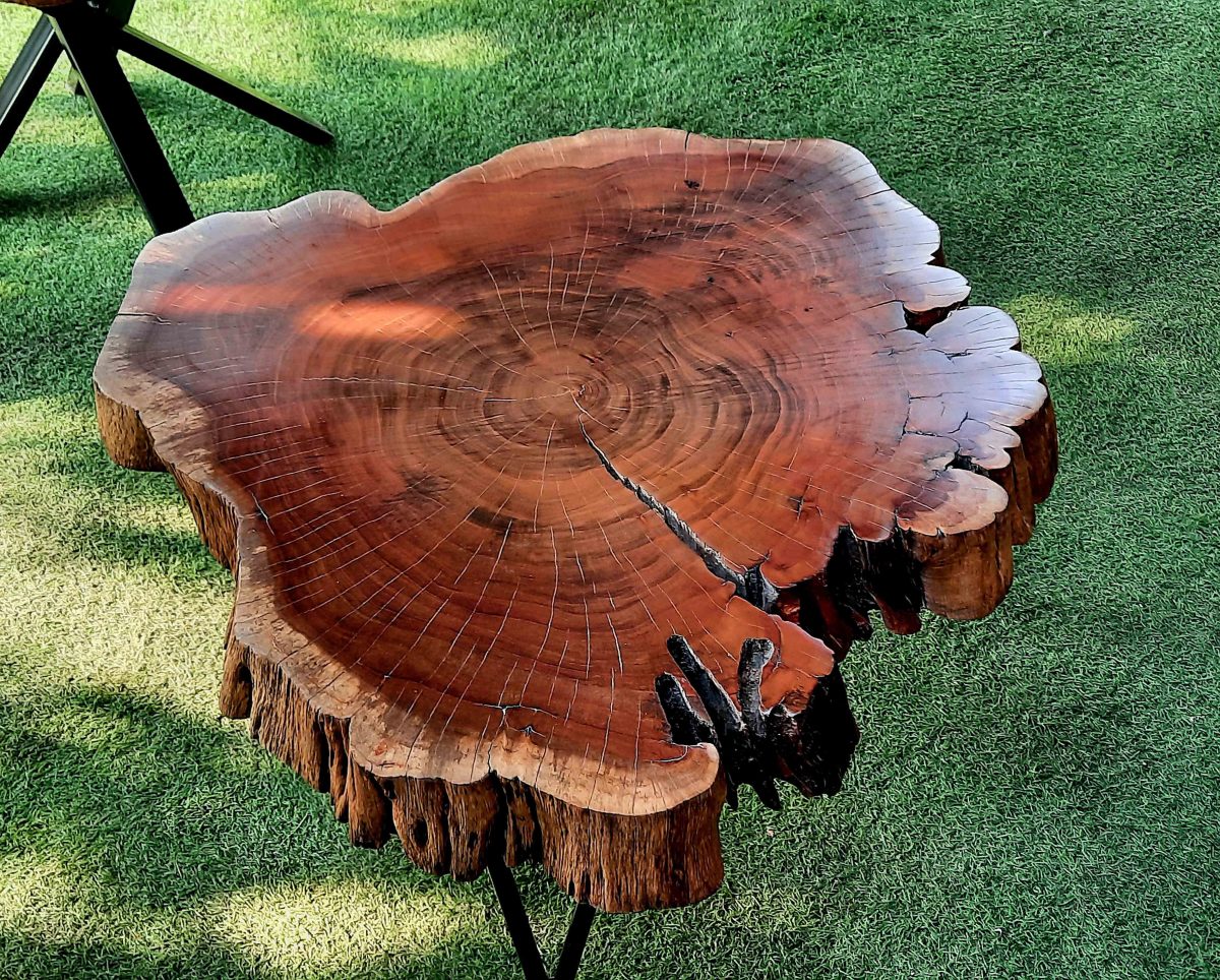 Natural Live Edges Table - Image 5