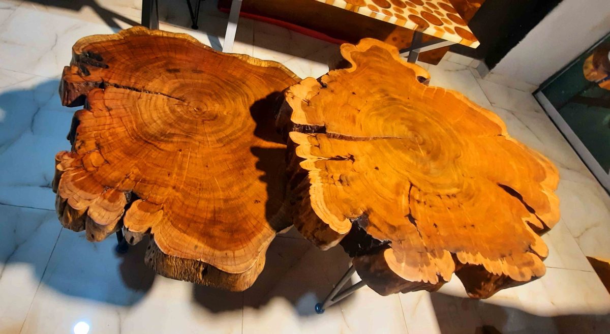 Natural Live Edges Table - Image 3