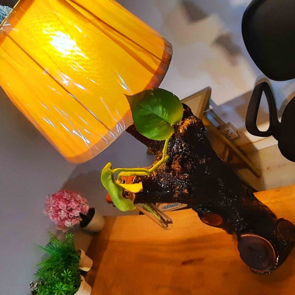 Wooden Lamp