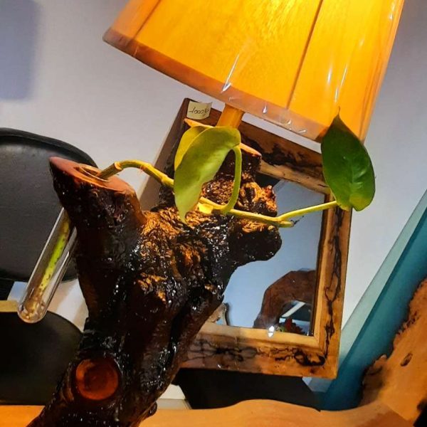 Table lamp